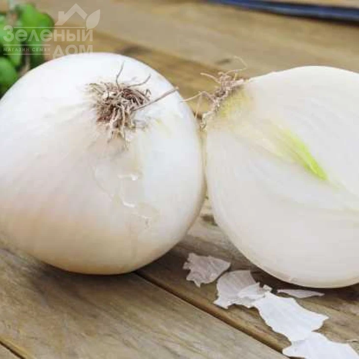 Вайт Меджик F1 / White Magic F1,115 дней фото 1