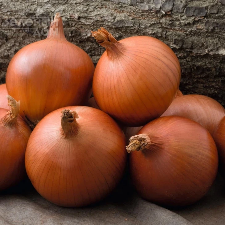 Мэллори F1 / Mallory F1,114 дней фото 1