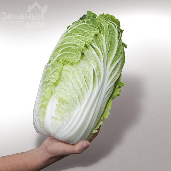 Яморі (КС 340)  F1 / Yamori F1 (KS 340) F1,60 днів фото 1