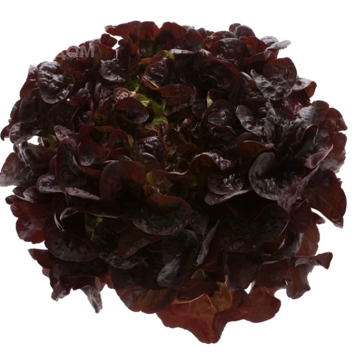 Руксай / Rouxai фото 1