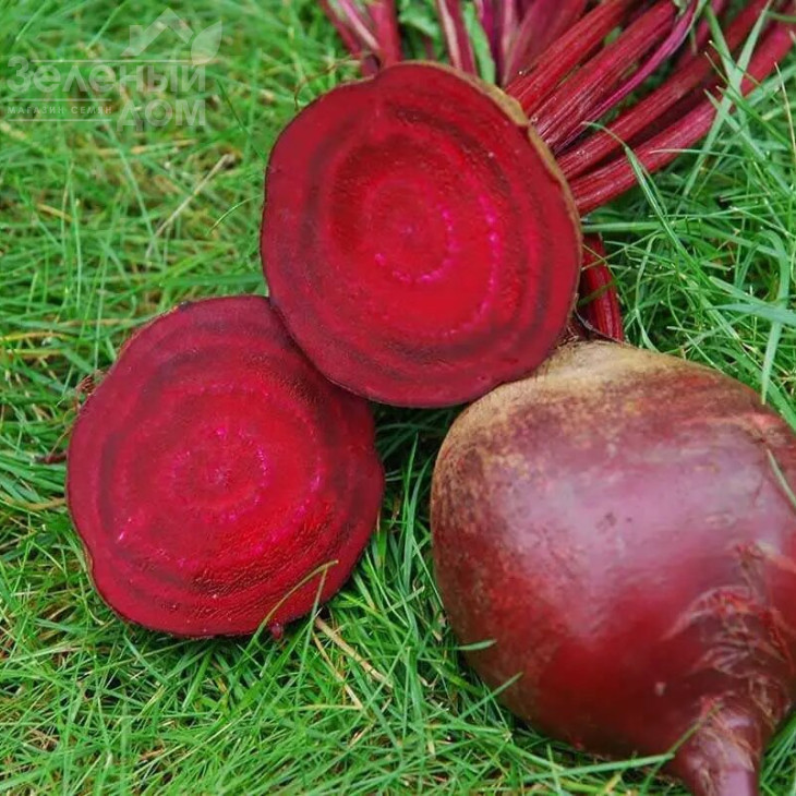 Ред Сан F1 / Red Sun F1,100-105 днів фото 3