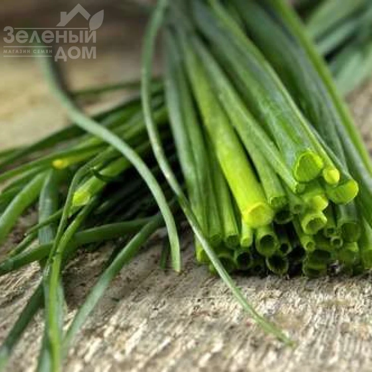 Эректа / Erecta,40-50 дней фото 1