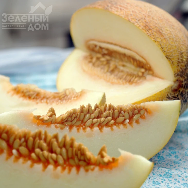 Голди F1 / Goldi F1,65-70 дней фото 3