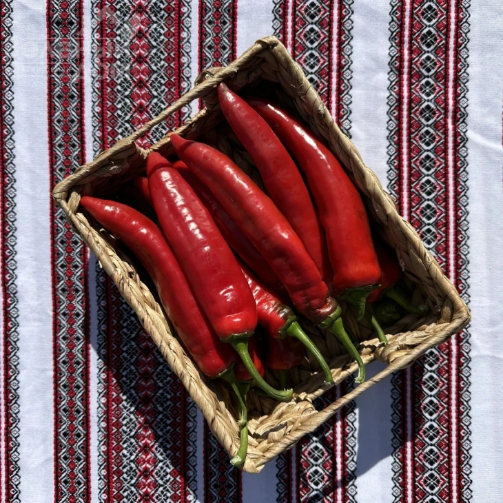 Мараб F1 /  Marab F1  фото 1