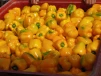 фото 1