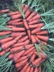фото 5