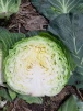 фото 6