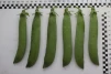 фото 6