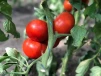 фото 9