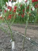 фото 6