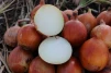 фото 1