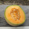 фото 1