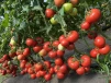 фото 2