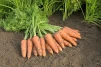 фото 1