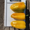 фото 6