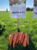 фото 1