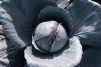 фото 1