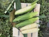 фото 6