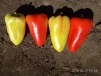 фото 6