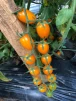 фото 6