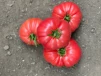 фото 6