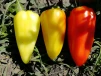 фото 3