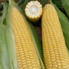 фото 6
