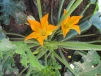 фото 6