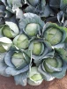 фото 8