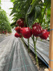 фото 3