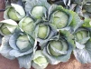 фото 6