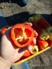 фото 4