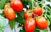 фото 1