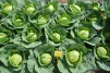 фото 6