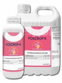 Органо-мінеральні добрива Фоскроп К / Foscrop K купити оптом і в роздріб в Україні за вигідною ціною