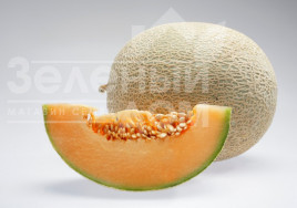 Насіння дині Карібіан Голд F1 / Carribean Gold F1,85 днів купити оптом і в роздріб в Україні за вигідною ціною