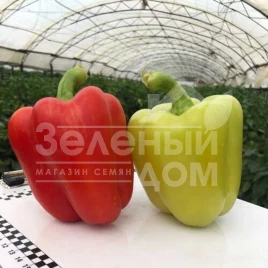 Семена сладкого перца Сплит F1 / Split F1,55-60 дней  купить оптом и в розницу в Украине по выгодной цене