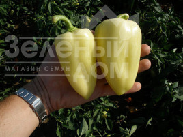 Насіння солодкого перцю Слована F1 / Slovana F1,50-60 днів купити оптом і в роздріб в Україні за вигідною ціною