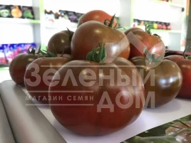 Семена томатов Сашер F1 / Sasher F1 купить оптом и в розницу в Украине по выгодной цене