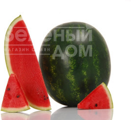 Насіння кавуна Цитадель F1 / Citadel F1, 70-75 днів купити оптом і в роздріб в Україні за вигідною ціною