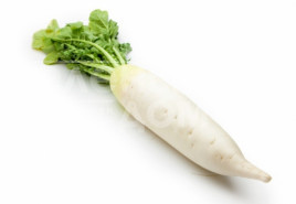 Насіння редьки КС 50  F1 / KS 50  F1 купити оптом і в роздріб в Україні за вигідною ціною