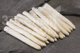 Насіння спаржі Кумулюс F1 / Cumulus F1 купити оптом і в роздріб в Україні за вигідною ціною