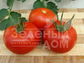 Семена томатов Дафне F1 / Daphne F1 купить оптом и в розницу в Украине по выгодной цене