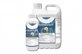 Регулятори росту Фолькроп СЕТ+ / Folcrop SET+ купити оптом і в роздріб в Україні за вигідною ціною