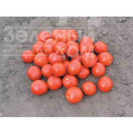 Насіння томатів Дональд F1 / Donald F1,95-100 днів купити оптом і в роздріб в Україні за вигідною ціною