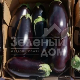 Семена баклажана Джокер F1 (ЦРХ 50125) / Joker F1 (CRX 50125),50-55 дней купить оптом и в розницу в Украине по выгодной цене