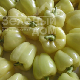 Насіння солодкого перцю Гелбі F1 / Gelby F1,70-80 днів купити оптом і в роздріб в Україні за вигідною ціною