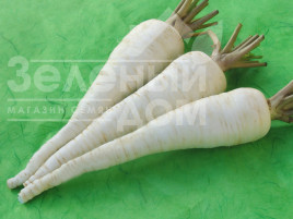 Насіння петрушки Алба / Alba,175-195 днів купити оптом і в роздріб в Україні за вигідною ціною