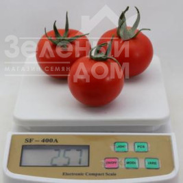 Насіння томатів КС 134 F1 / KS 134 F1 купити оптом і в роздріб в Україні за вигідною ціною