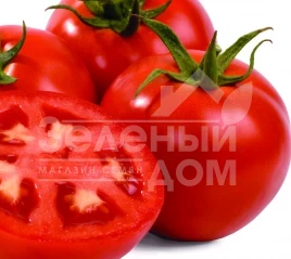 Семена томатов Интерлэнд F1 / Interland F1 купить оптом и в розницу в Украине по выгодной цене